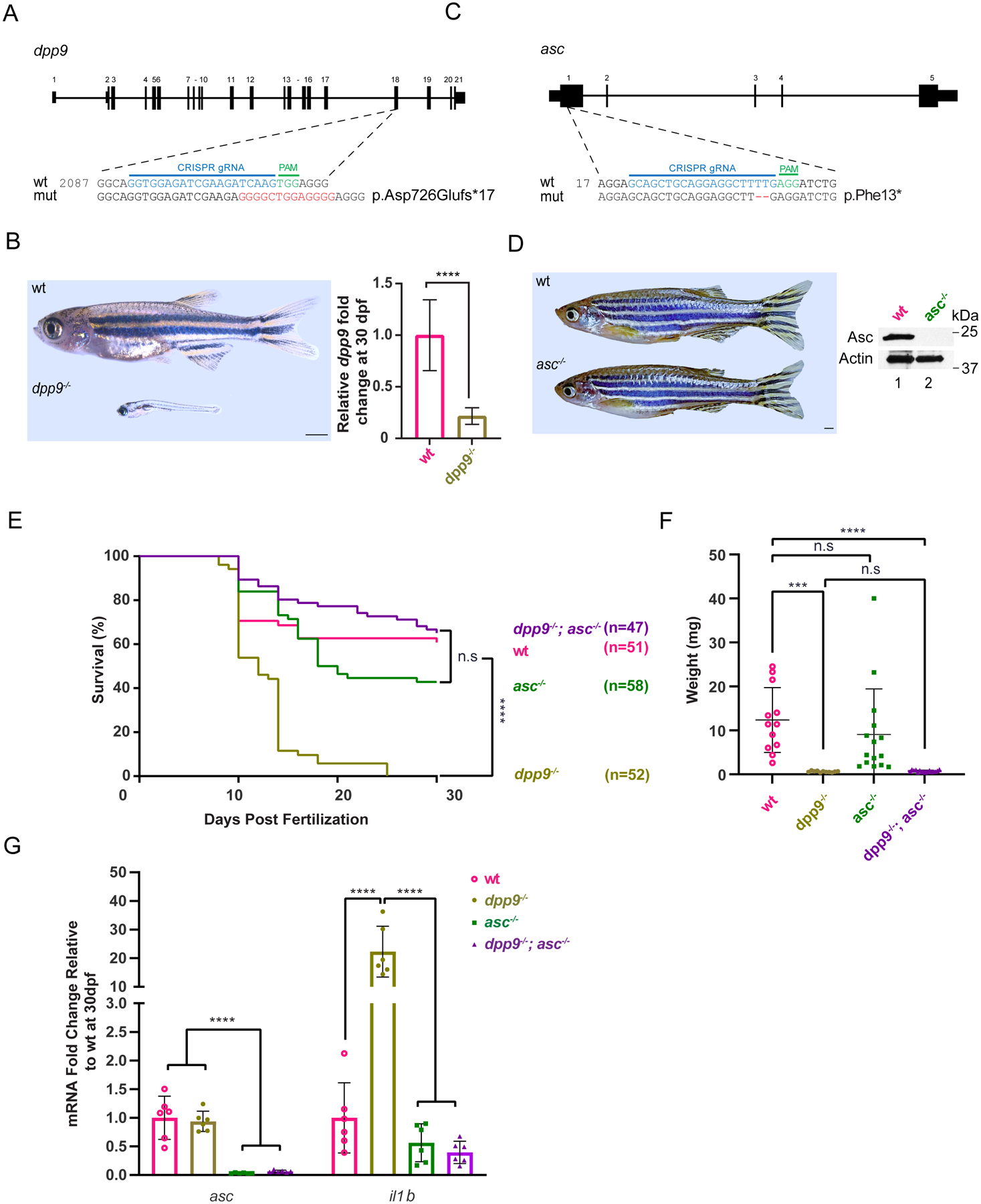 Fig. 4: