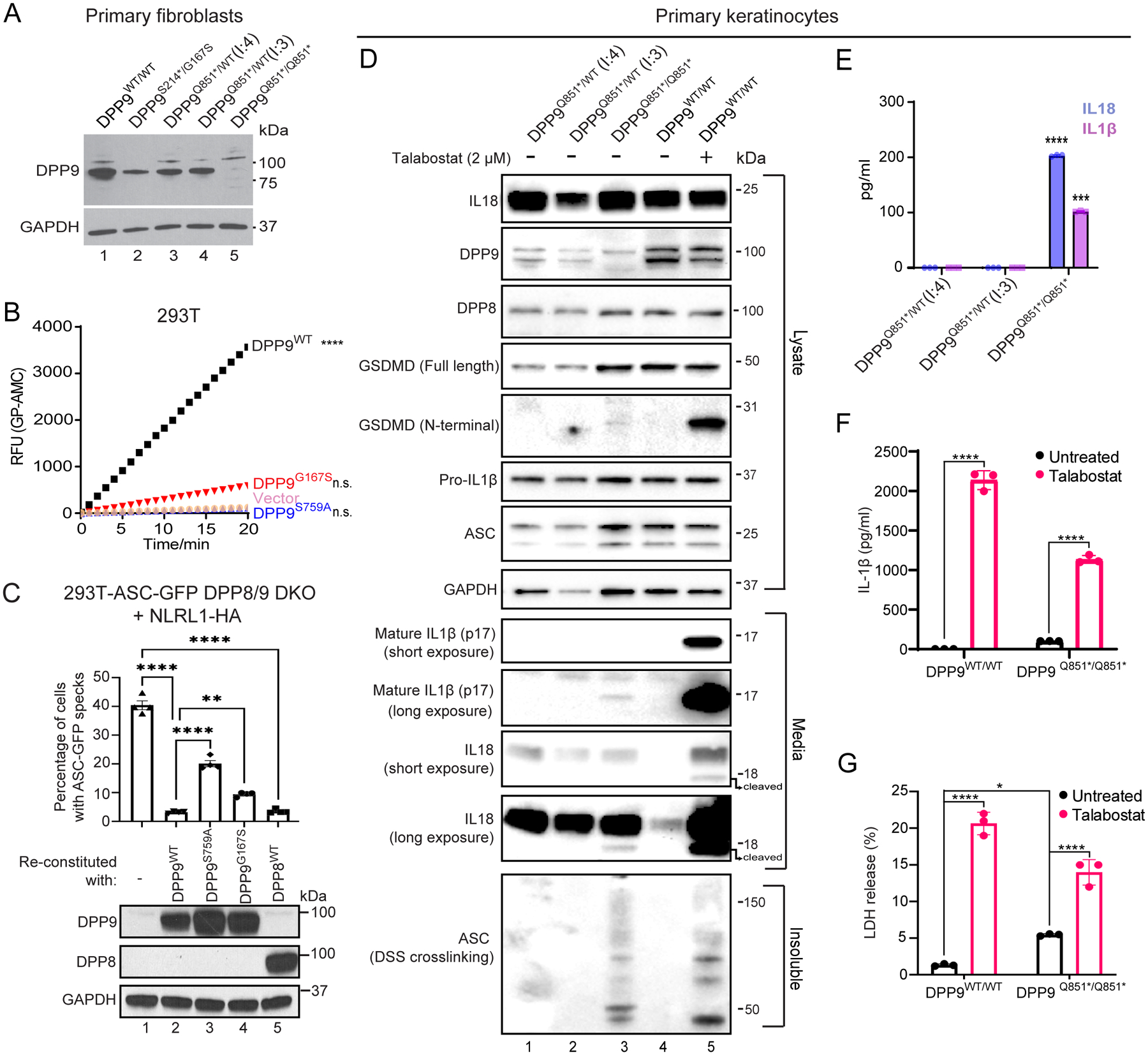 Fig. 2: