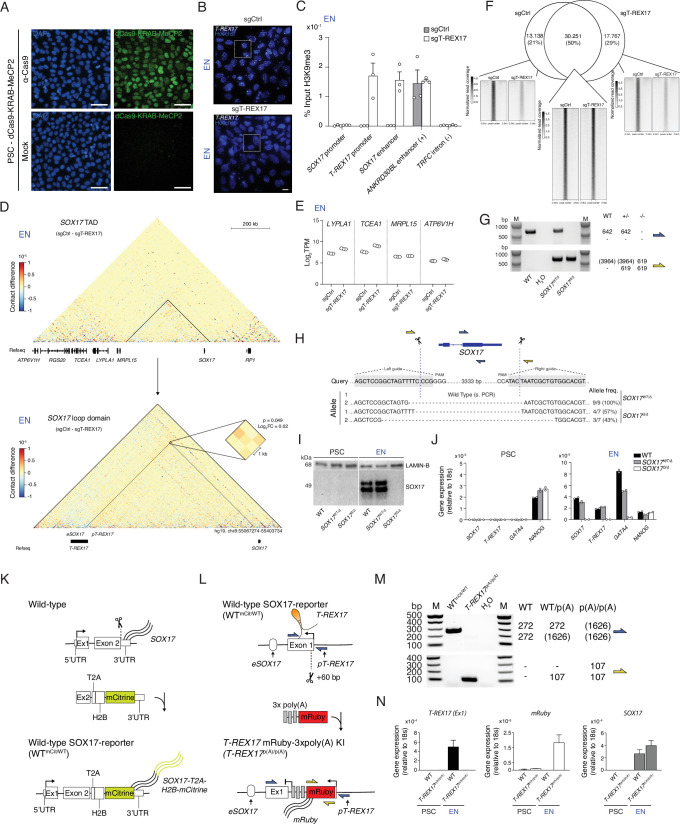 Figure 3—figure supplement 1.