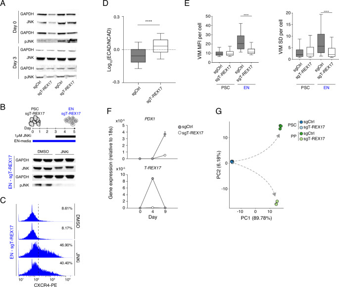 Figure 4—figure supplement 2.