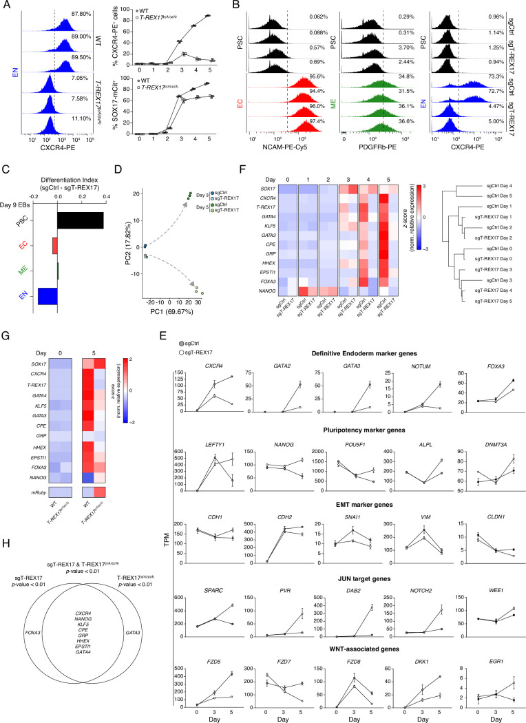 Figure 4—figure supplement 1.