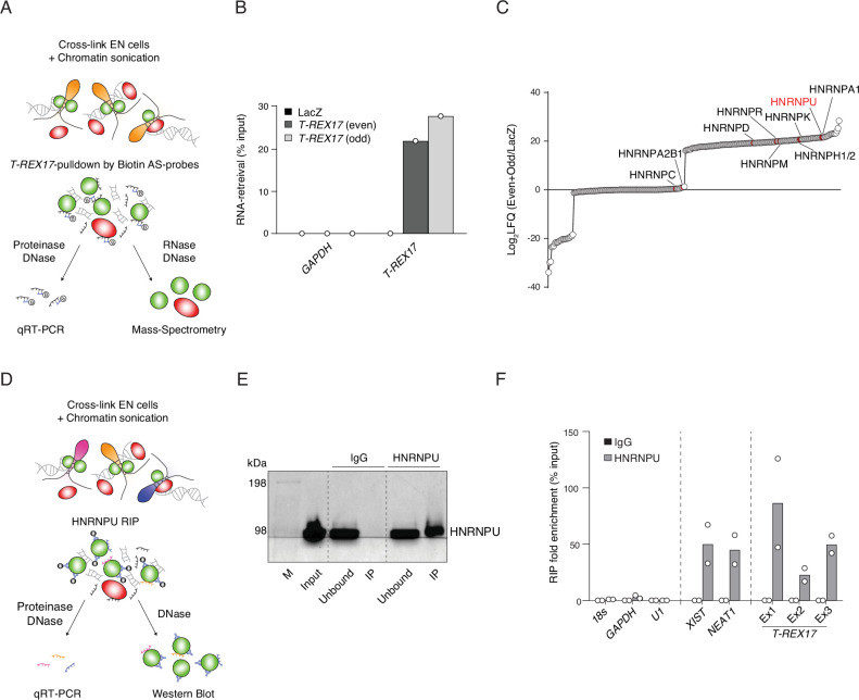 Figure 3—figure supplement 2.