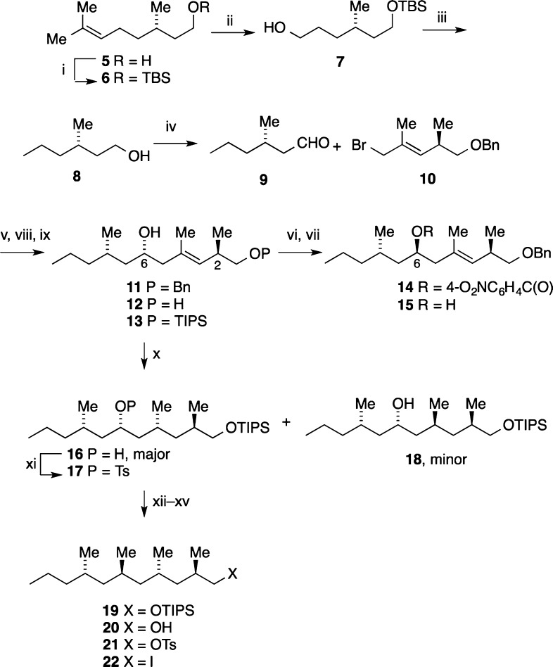 Scheme 1