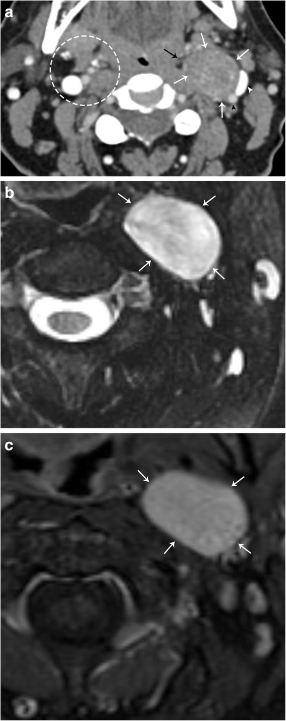 Fig. 9