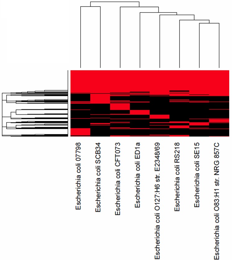 Fig 7