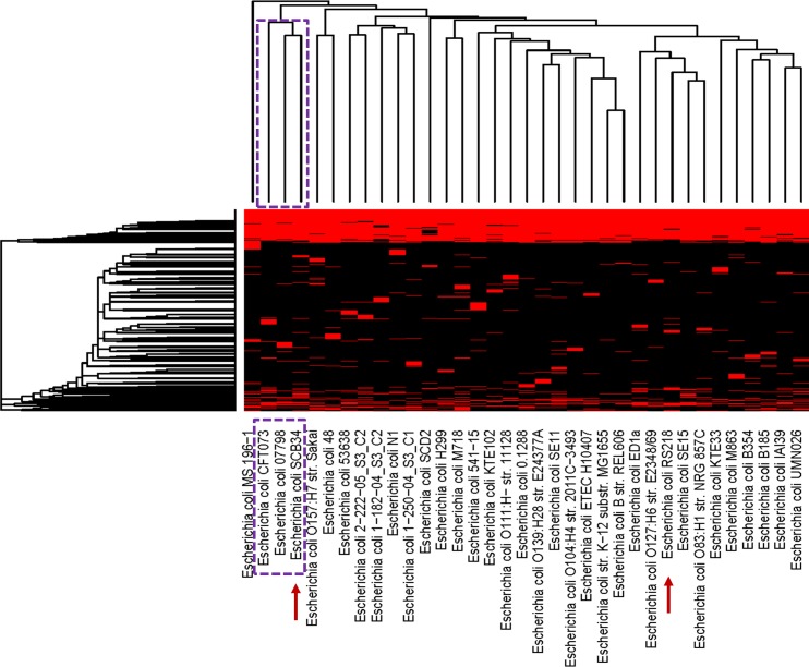 Fig 6