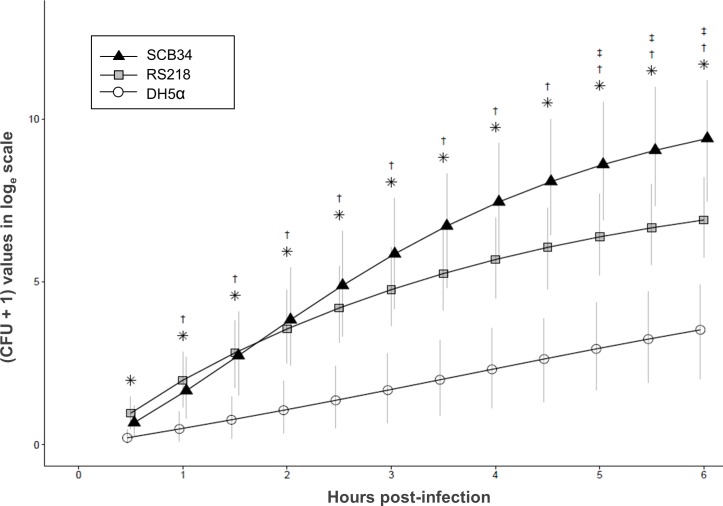 Fig 3