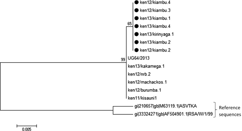 Fig. 2