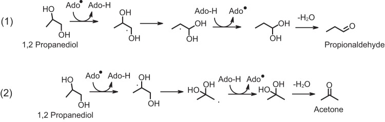 FIG 6