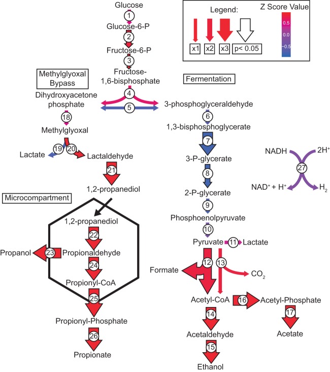 FIG 3