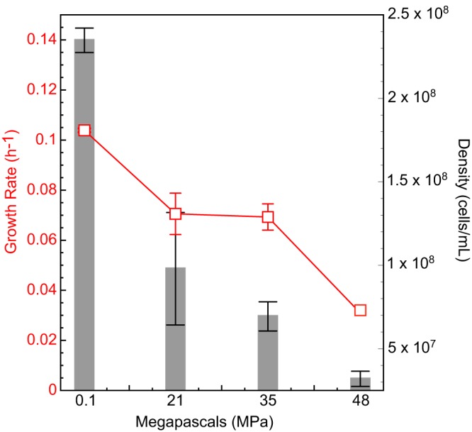 FIG 1