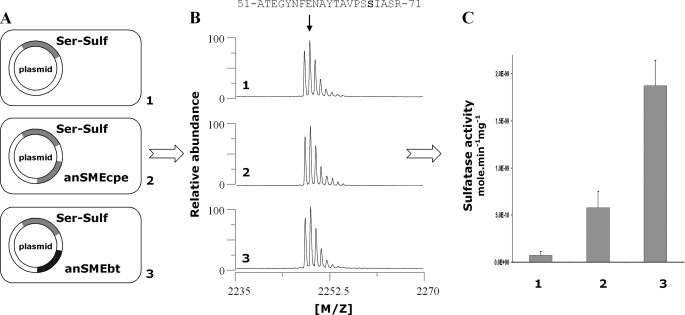 FIGURE 10.