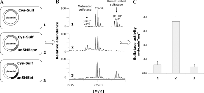 FIGURE 9.