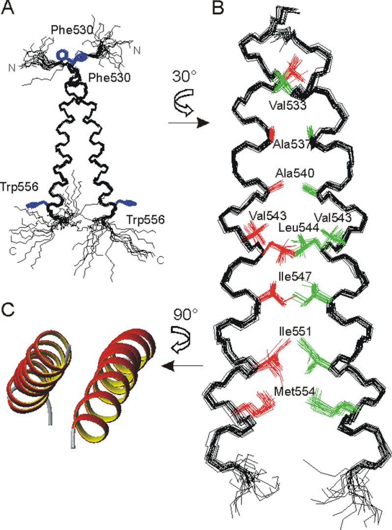 FIGURE 1.