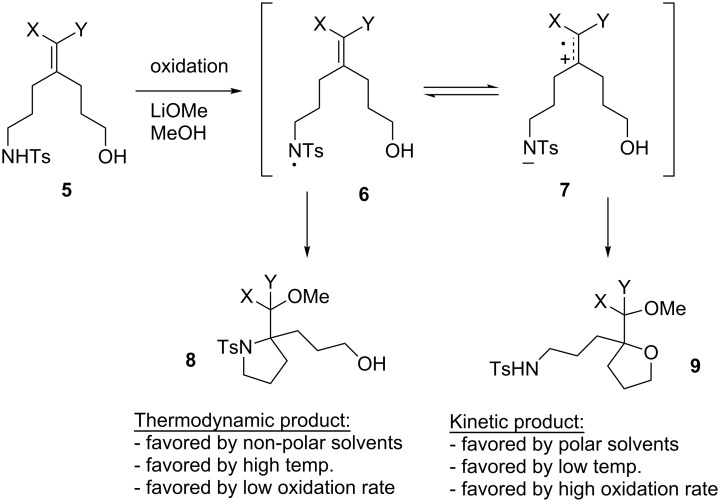 Scheme 2