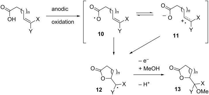 Scheme 4