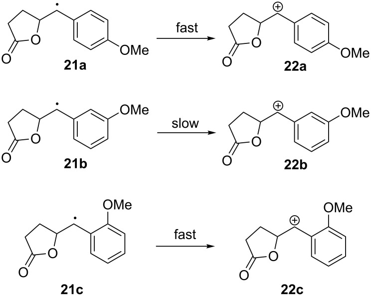 Scheme 5