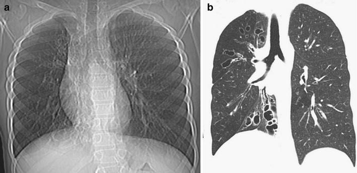 Fig. 5