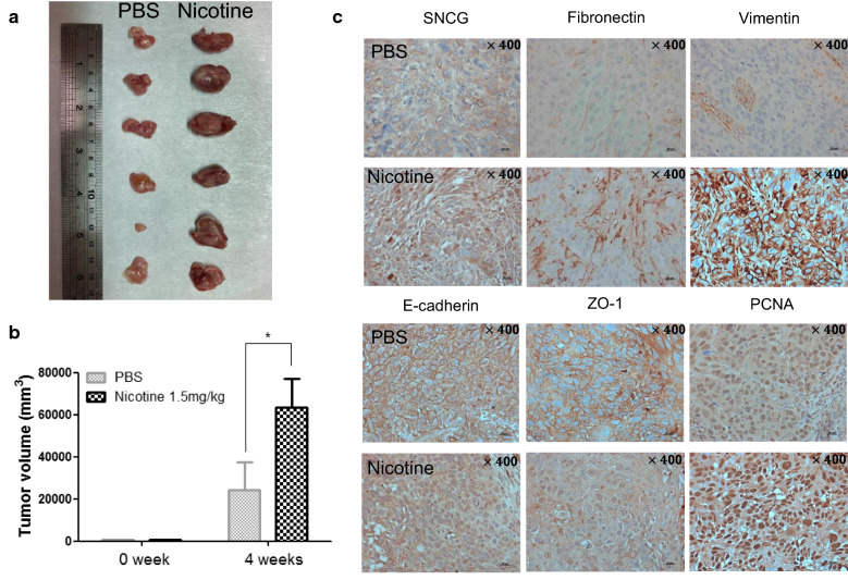 Fig. 6