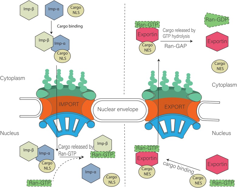 FIGURE 2