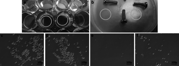 Fig. 3