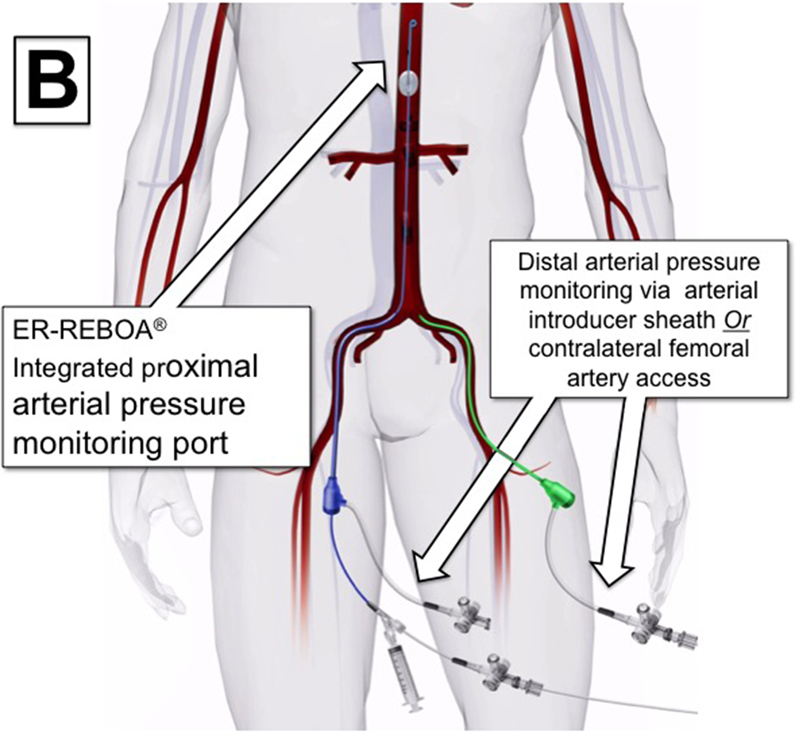 Figure 2: