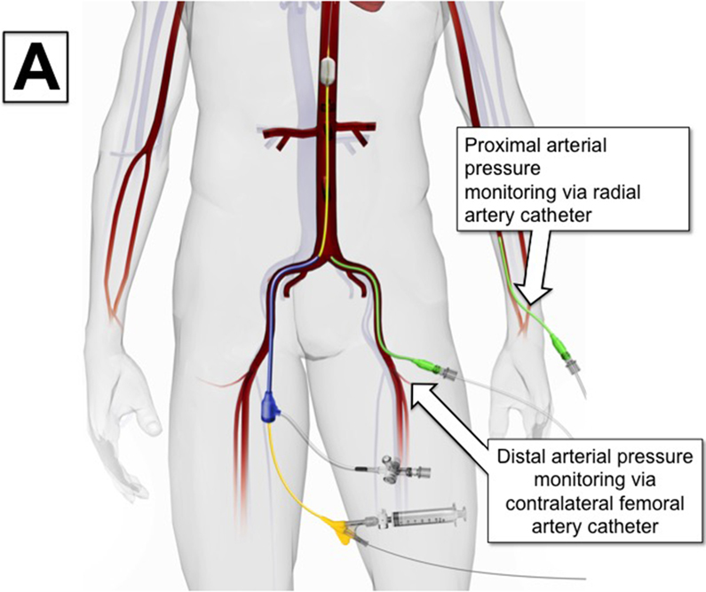 Figure 2: