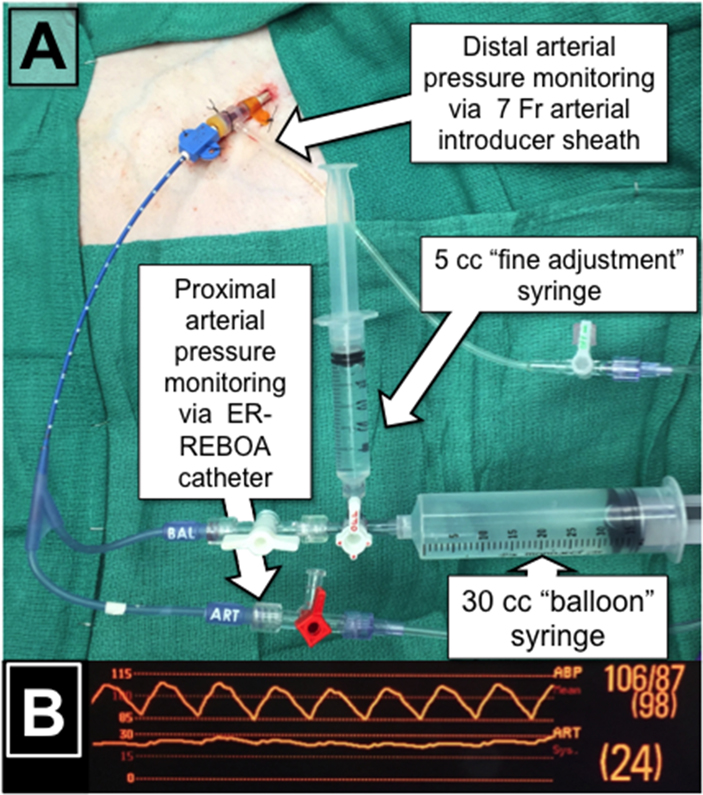 Figure 1: