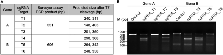 Figure 1