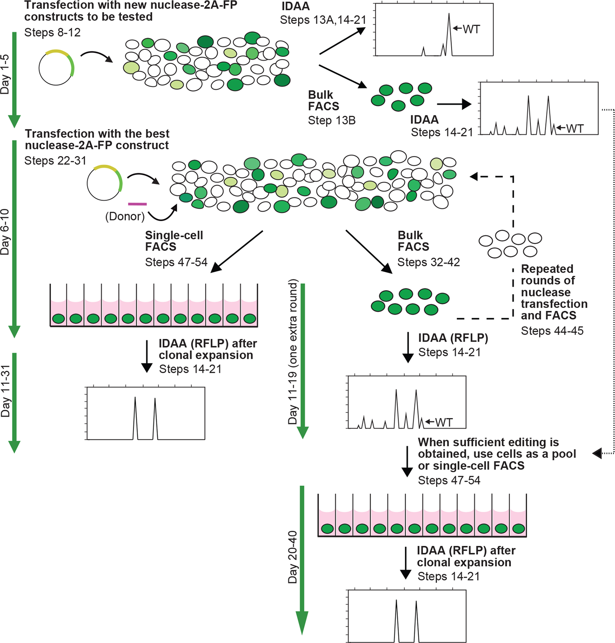 Figure 4 |