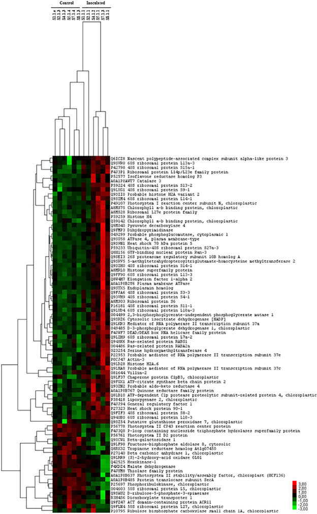 Fig 2