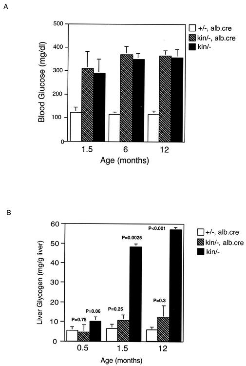 FIG. 5.