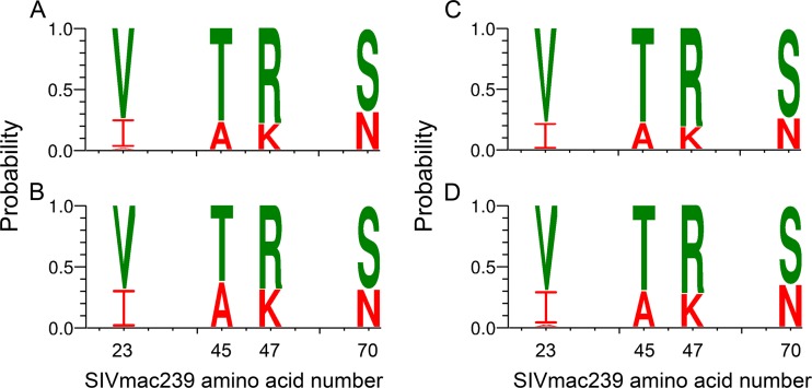 FIG 4