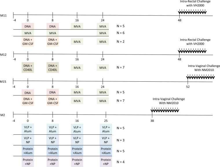 FIG 1