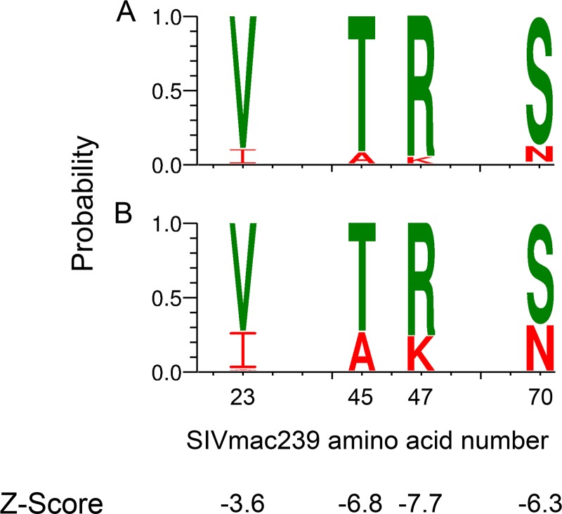 FIG 3