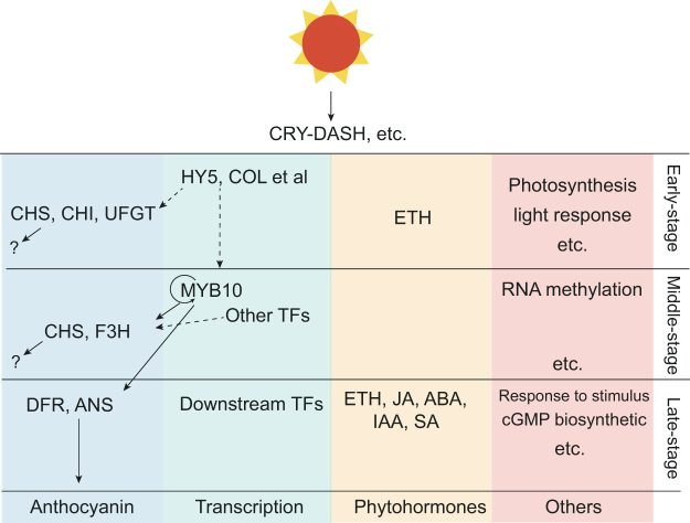 Figure 9