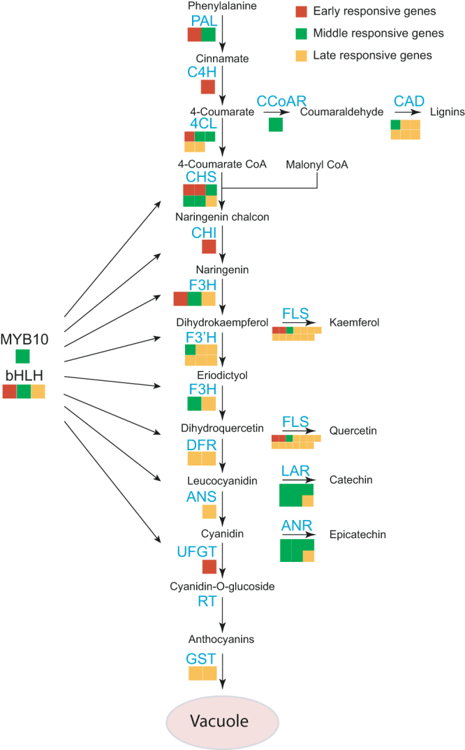 Figure 7