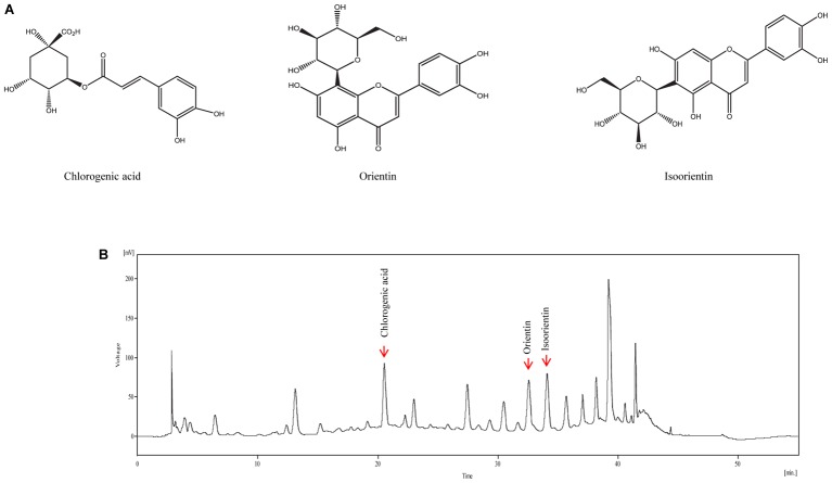 FIGURE 1