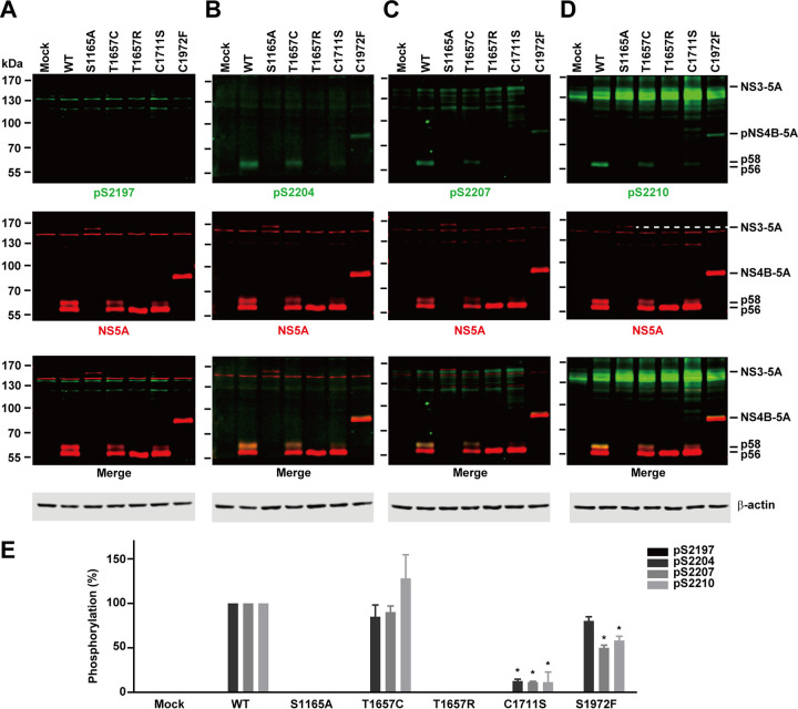 FIG 10