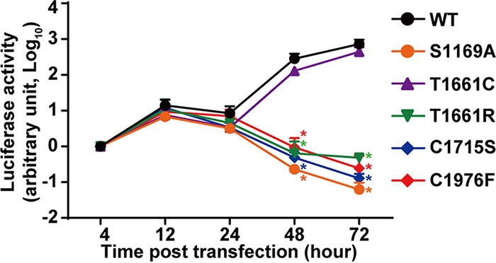 FIG 11