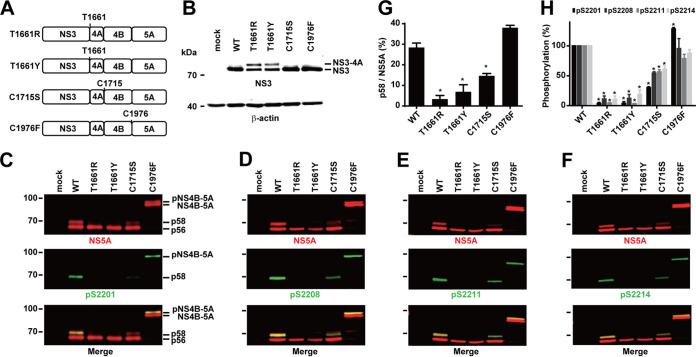 FIG 6