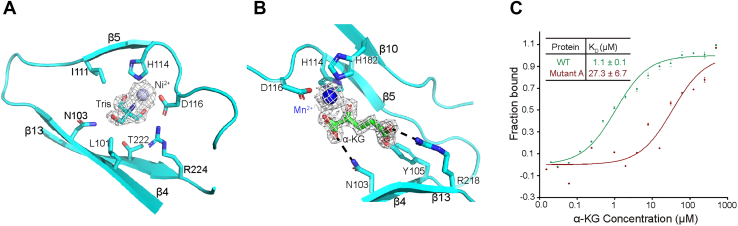 Figure 2