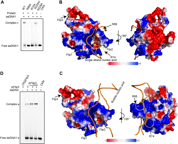 Figure 4