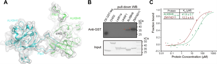 Figure 5