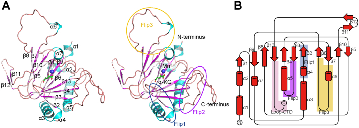 Figure 1