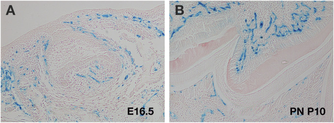 FIGURE 3