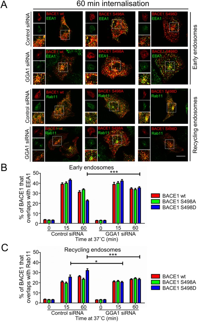 FIGURE 6: