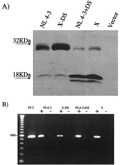 FIG. 5.