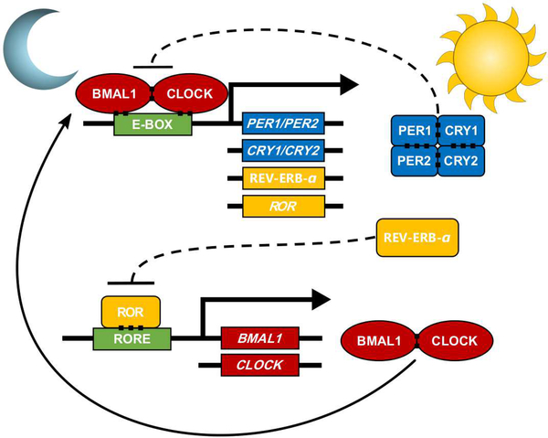 Figure 2: