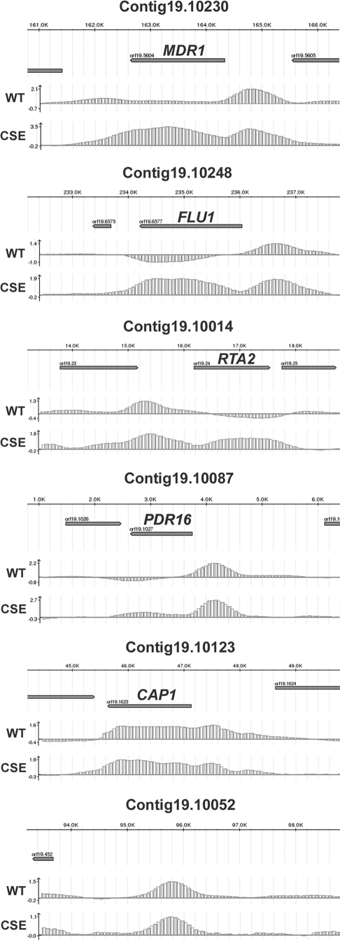 FIG. 2.